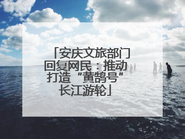 安庆文旅部门回复网民：推动打造“黄鹄号”长江游轮