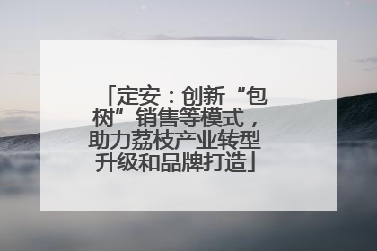 定安：创新“包树”销售等模式，助力荔枝产业转型升级和品牌打造