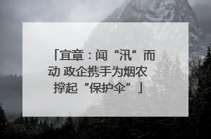 宜章：闻“汛”而动 政企携手为烟农撑起“保护伞”