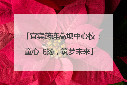 宜宾筠连蒿坝中心校：童心飞扬，筑梦未来