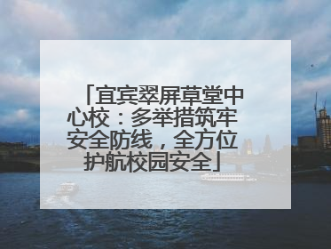 宜宾翠屏草堂中心校：多举措筑牢安全防线，全方位护航校园安全