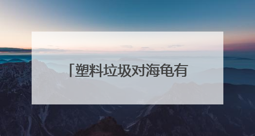 塑料垃圾对海龟有何致命伤害？世界环境日总台记者走进开普敦海洋馆