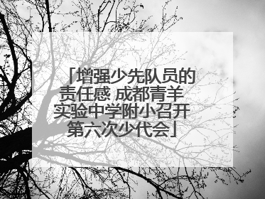 增强少先队员的责任感 成都青羊实验中学附小召开第六次少代会