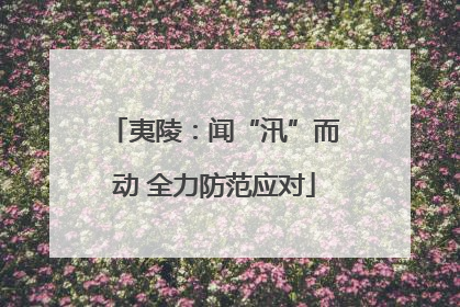 夷陵：闻“汛”而动 全力防范应对