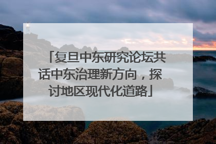 复旦中东研究论坛共话中东治理新方向，探讨地区现代化道路