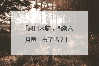 夏日来临，西湖六月黄上市了吗？
