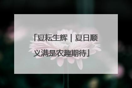 夏耘生辉｜夏日顺义满是农趣期待