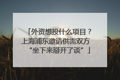 外资想投什么项目？上海浦东邀请供需双方“坐下来掰开了谈”