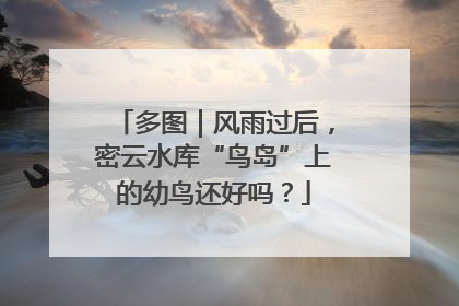 多图｜风雨过后，密云水库“鸟岛”上的幼鸟还好吗？
