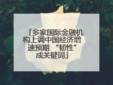 多家国际金融机构上调中国经济增速预期 “韧性”成关键词