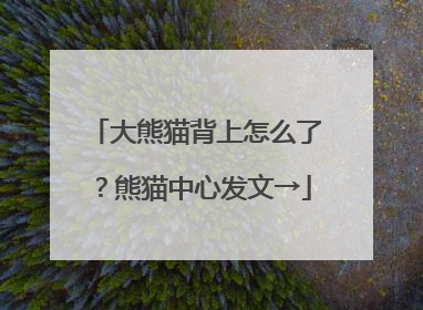 大熊猫背上怎么了？熊猫中心发文→