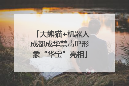 大熊猫+机器人 成都成华禁毒IP形象“华宝”亮相