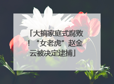 大搞家庭式腐败！“女老虎”赵金云被决定逮捕