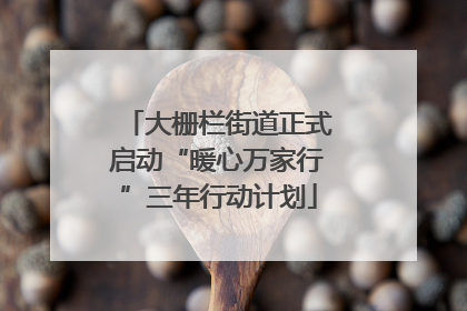 大栅栏街道正式启动“暖心万家行”三年行动计划