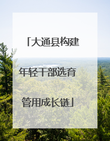 大通县构建年轻干部选育管用成长链