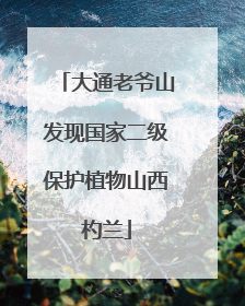 大通老爷山发现国家二级保护植物山西杓兰