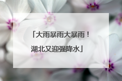 大雨暴雨大暴雨！湖北又迎强降水