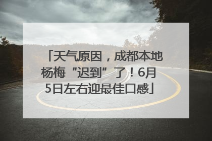 天气原因，成都本地杨梅“迟到”了！6月5日左右迎最佳口感