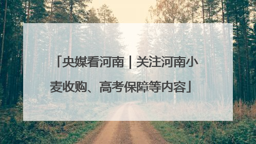 央媒看河南｜关注河南小麦收购、高考保障等内容