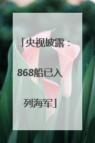 央视披露：868船已入列海军