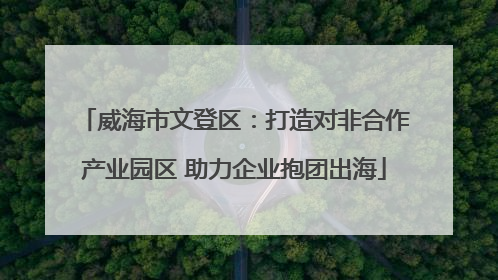 威海市文登区：打造对非合作产业园区 助力企业抱团出海