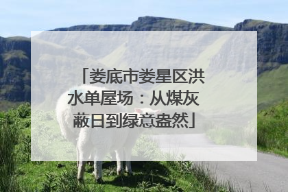 娄底市娄星区洪水单屋场：从煤灰蔽日到绿意盎然