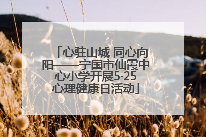 心驻山城 同心向阳——宁国市仙霞中心小学开展5·25心理健康日活动