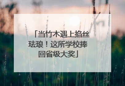当竹木遇上掐丝珐琅！这所学校捧回省级大奖