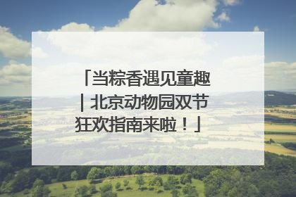 当粽香遇见童趣｜北京动物园双节狂欢指南来啦！