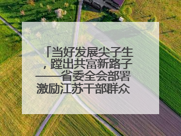当好发展尖子生，蹚出共富新路子——省委全会部署激励江苏干部群众促进全体人民共同富裕