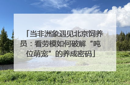 当非洲象遇见北京饲养员：看劳模如何破解“吨位萌宠”的养成密码