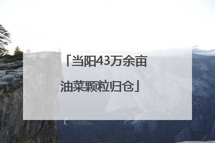 当阳43万余亩油菜颗粒归仓