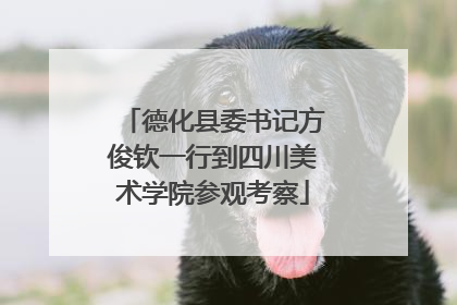 德化县委书记方俊钦一行到四川美术学院参观考察
