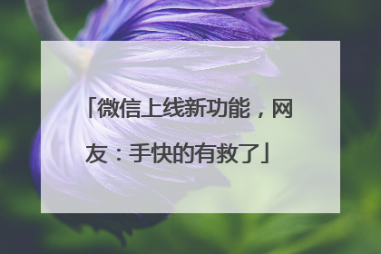 微信上线新功能，网友：手快的有救了