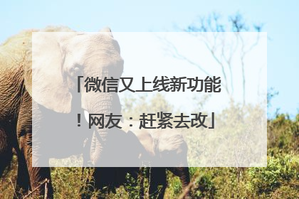微信又上线新功能！网友：赶紧去改