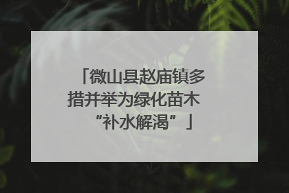 微山县赵庙镇多措并举为绿化苗木“补水解渴”