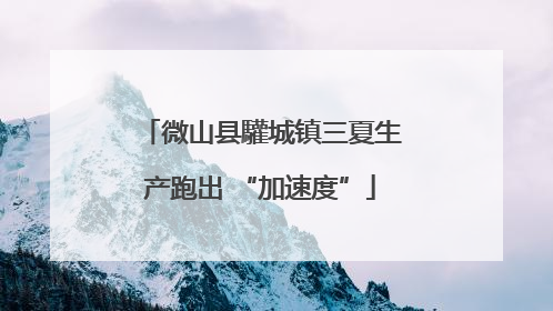 微山县驩城镇三夏生产跑出 “加速度”