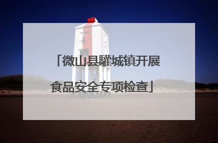 微山县驩城镇开展食品安全专项检查