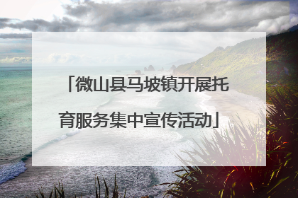 微山县马坡镇开展托育服务集中宣传活动