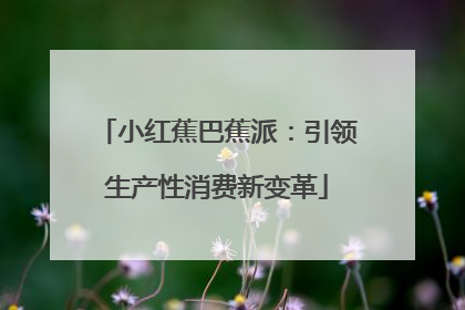 小红蕉巴蕉派：引领生产性消费新变革