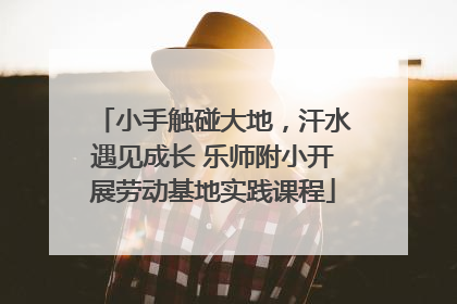 小手触碰大地，汗水遇见成长 乐师附小开展劳动基地实践课程