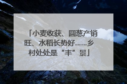 小麦收获、圆葱产销旺、水稻长势好……乡村处处是“丰”景
