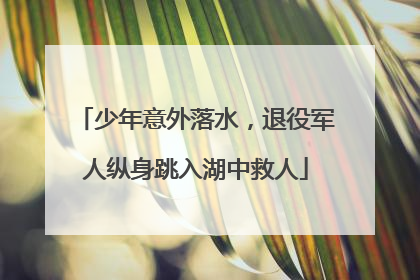 少年意外落水，退役军人纵身跳入湖中救人
