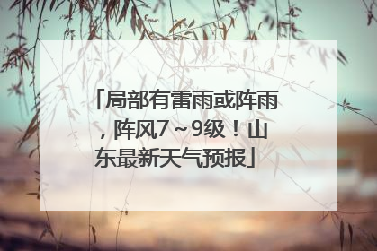 局部有雷雨或阵雨，阵风7～9级！山东最新天气预报
