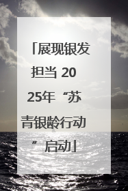 展现银发担当 2025年“苏青银龄行动”启动