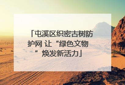 屯溪区织密古树防护网 让“绿色文物”焕发新活力