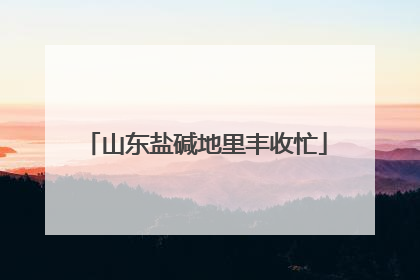 山东盐碱地里丰收忙