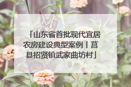 山东省首批现代宜居农房建设典型案例丨莒县招贤镇武家曲坊村