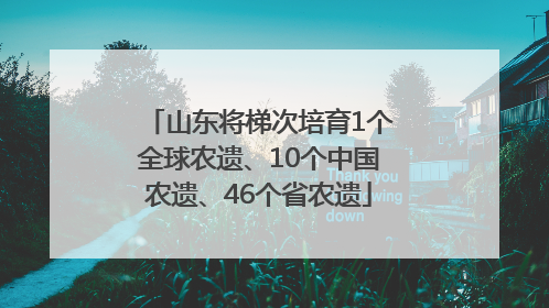 山东将梯次培育1个全球农遗、10个中国农遗、46个省农遗
