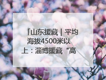山东援藏｜平均海拔4500米以上：淄博援藏“高”在哪里？